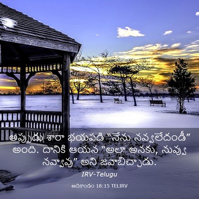 Picture 03 - ఆదికాండం 18:15 TELIRV - అప్పుడు శారా - Bible Verse Picture