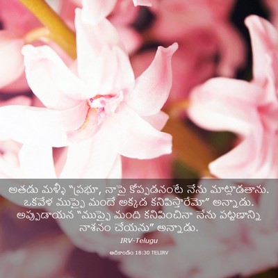 Picture 03 - ఆదికాండం 18:30 TELIRV - అతడు మళ్ళీ “ప్రభూ, - Bible Verse Picture