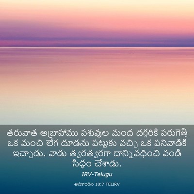Picture 03 - ఆదికాండం 18:7 TELIRV - తరువాత అబ్రాహాము - Bible Verse Picture