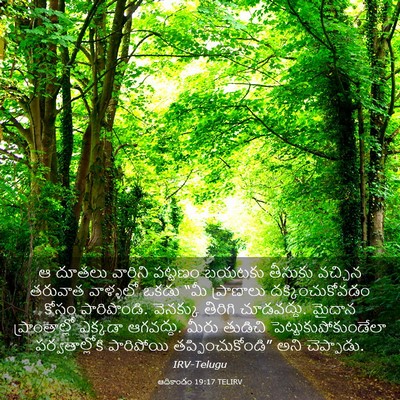 Picture 03 - ఆదికాండం 19:17 TELIRV - ఆ దూతలు వారిని - Bible Verse Picture
