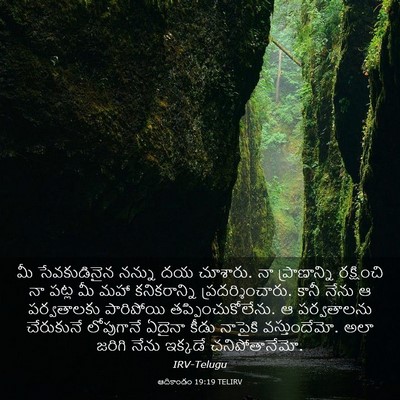 Picture 03 - ఆదికాండం 19:19 TELIRV - మీ సేవకుడినైన - Bible Verse Picture
