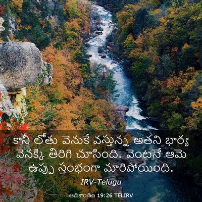 Picture 03 - ఆదికాండం 19:26 TELIRV - కానీ లోతు వెనుకే - Bible Verse Picture