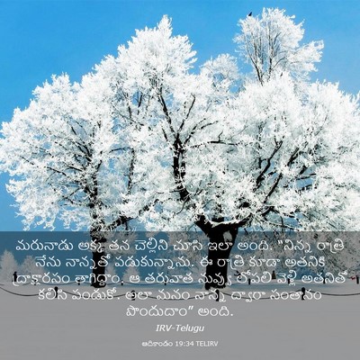 Picture 03 - ఆదికాండం 19:34 TELIRV - మరునాడు అక్క తన - Bible Verse Picture