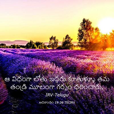 Picture 03 - ఆదికాండం 19:36 TELIRV - ఆ విధంగా లోతు - Bible Verse Picture