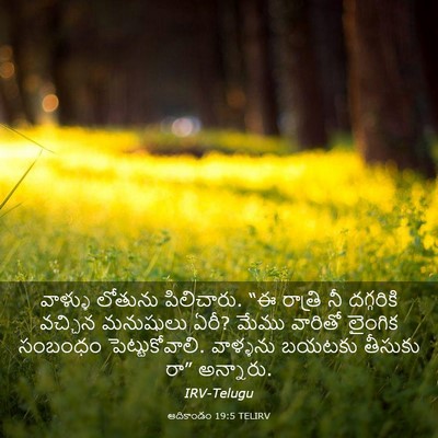 Picture 03 - ఆదికాండం 19:5 TELIRV - వాళ్ళు లోతును - Bible Verse Picture