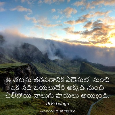 Picture 03 - ఆదికాండం 2:10 TELIRV - ఆ తోటను తడపడానికి - Bible Verse Picture