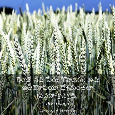 Picture 03 - ఆదికాండం 2:13 TELIRV - రెండో నది పేరు - Bible Verse Picture