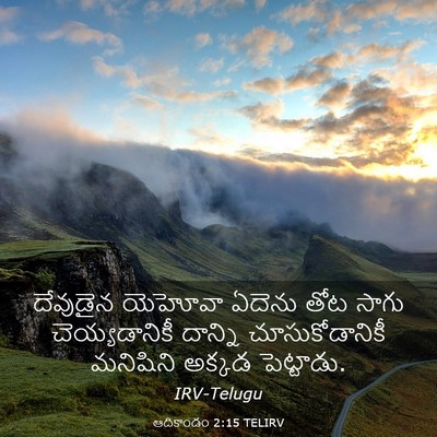 Picture 03 - ఆదికాండం 2:15 TELIRV - దేవుడైన యెహోవా - Bible Verse Picture