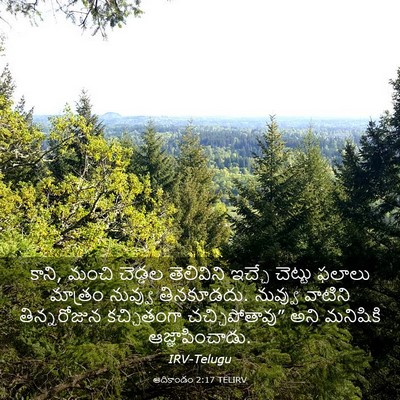 Picture 03 - ఆదికాండం 2:17 TELIRV - కాని, మంచి చెడ్డల - Bible Verse Picture