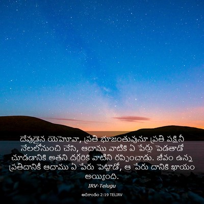 Picture 03 - ఆదికాండం 2:19 TELIRV - దేవుడైన యెహోవా, - Bible Verse Picture