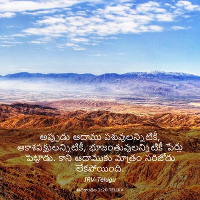Picture 03 - ఆదికాండం 2:20 TELIRV - అప్పుడు ఆదాము - Bible Verse Picture