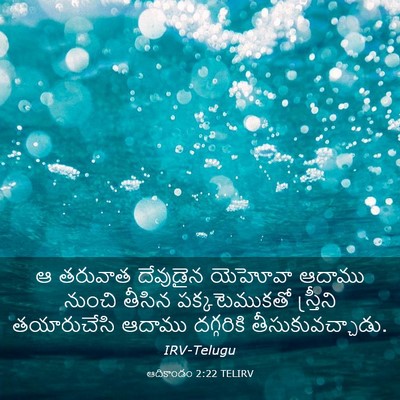 Picture 03 - ఆదికాండం 2:22 TELIRV - ఆ తరువాత దేవుడైన - Bible Verse Picture