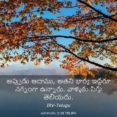 Picture 03 - ఆదికాండం 2:25 TELIRV - అప్పుడు ఆదాము, - Bible Verse Picture