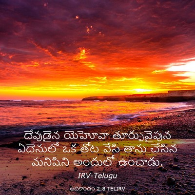 Picture 03 - ఆదికాండం 2:8 TELIRV - దేవుడైన యెహోవా - Bible Verse Picture