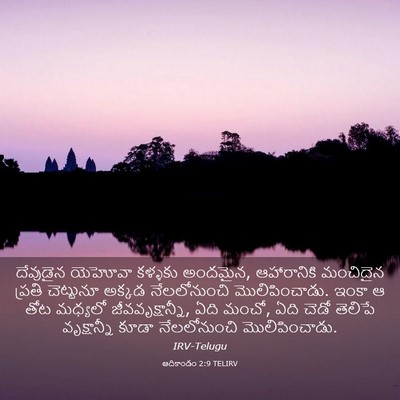 Picture 03 - ఆదికాండం 2:9 TELIRV - దేవుడైన యెహోవా - Bible Verse Picture