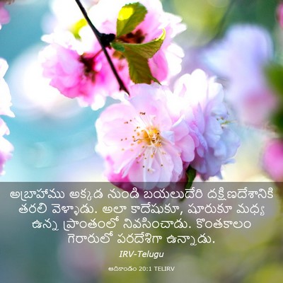 Picture 03 - ఆదికాండం 20:1 TELIRV - అబ్రాహాము అక్కడ - Bible Verse Picture