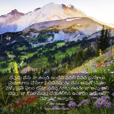 Picture 03 - ఆదికాండం 20:13 TELIRV - దేవుడు నేను నా - Bible Verse Picture