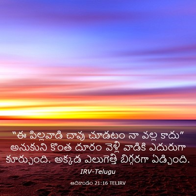 Picture 03 - ఆదికాండం 21:16 TELIRV - “ఈ పిల్లవాడి చావు - Bible Verse Picture