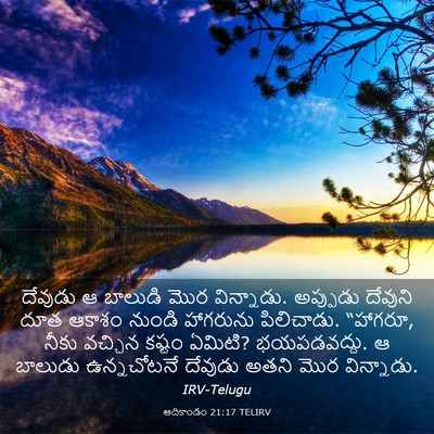 Picture 03 - ఆదికాండం 21:17 TELIRV - దేవుడు ఆ బాలుడి - Bible Verse Picture