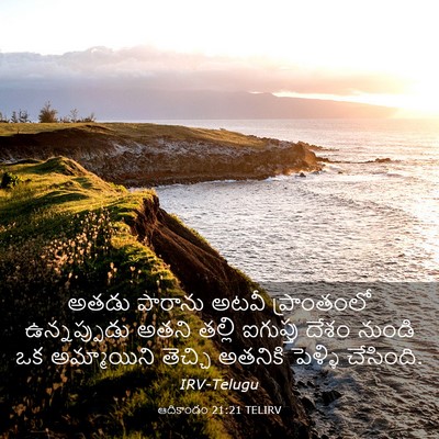 Picture 03 - ఆదికాండం 21:21 TELIRV - అతడు పారాను అటవీ - Bible Verse Picture