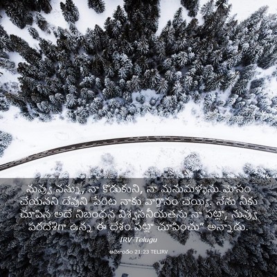 Picture 03 - ఆదికాండం 21:23 TELIRV - నువ్వు నన్ను, నా - Bible Verse Picture