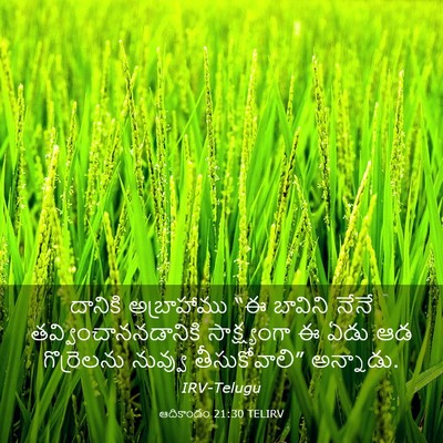 Picture 03 - ఆదికాండం 21:30 TELIRV - దానికి అబ్రాహాము - Bible Verse Picture