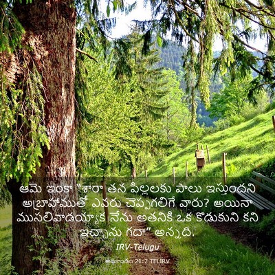 Picture 03 - ఆదికాండం 21:7 TELIRV - ఆమె ఇంకా “శారా తన - Bible Verse Picture