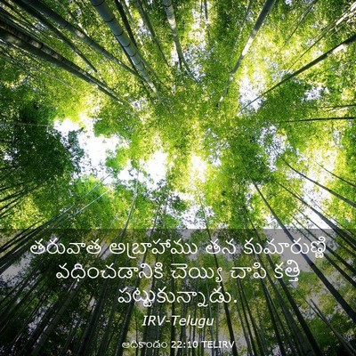 Picture 03 - ఆదికాండం 22:10 TELIRV - తరువాత అబ్రాహాము - Bible Verse Picture