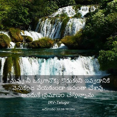Picture 03 - ఆదికాండం 22:16 TELIRV - “నువ్వు నీ - Bible Verse Picture