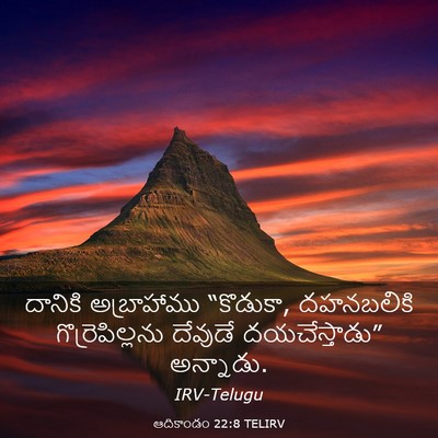 Picture 03 - ఆదికాండం 22:8 TELIRV - దానికి అబ్రాహాము - Bible Verse Picture