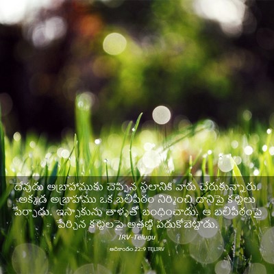 Picture 03 - ఆదికాండం 22:9 TELIRV - దేవుడు - Bible Verse Picture