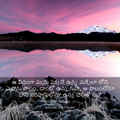 Picture 03 - ఆదికాండం 23:17 TELIRV - ఆ విధంగా మమ్రే - Bible Verse Picture