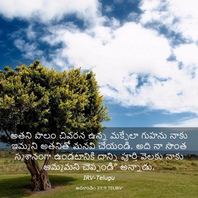 Picture 03 - ఆదికాండం 23:9 TELIRV - అతని పొలం చివరన - Bible Verse Picture