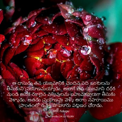 Picture 03 - ఆదికాండం 24:10 TELIRV - ఆ దాసుడు తన - Bible Verse Picture