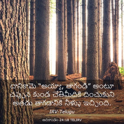 Picture 03 - ఆదికాండం 24:18 TELIRV - దానికామె “అయ్యా, - Bible Verse Picture
