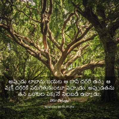 Picture 03 - ఆదికాండం 24:30 TELIRV - అప్పుడు లాబాను - Bible Verse Picture