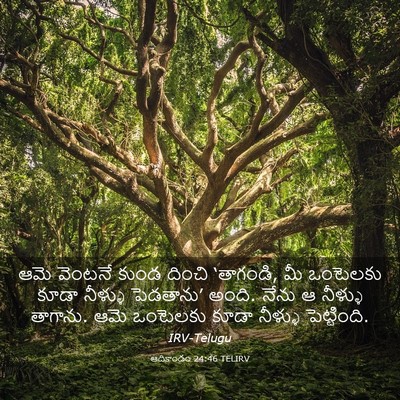 Picture 03 - ఆదికాండం 24:46 TELIRV - ఆమె వెంటనే కుండ - Bible Verse Picture