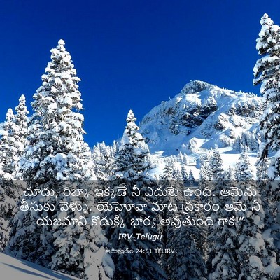 Picture 03 - ఆదికాండం 24:51 TELIRV - చూడు, రిబ్కా - Bible Verse Picture