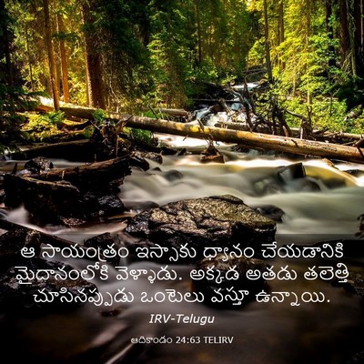 Picture 03 - ఆదికాండం 24:63 TELIRV - ఆ సాయంత్రం - Bible Verse Picture
