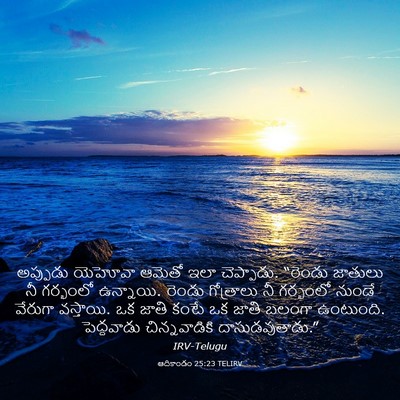 Picture 03 - ఆదికాండం 25:23 TELIRV - అప్పుడు యెహోవా - Bible Verse Picture