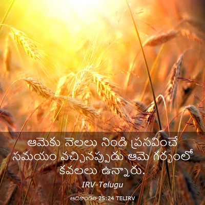 Picture 03 - ఆదికాండం 25:24 TELIRV - ఆమెకు నెలలు నిండి - Bible Verse Picture