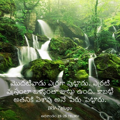Picture 03 - ఆదికాండం 25:25 TELIRV - మొదటివాడు ఎర్రగా - Bible Verse Picture