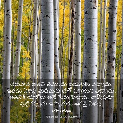 Picture 03 - ఆదికాండం 25:26 TELIRV - తరువాత అతని - Bible Verse Picture
