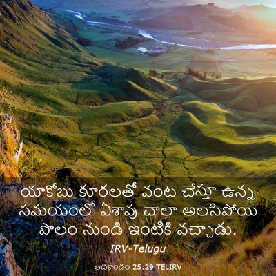 Picture 03 - ఆదికాండం 25:29 TELIRV - యాకోబు కూరలతో వంట - Bible Verse Picture