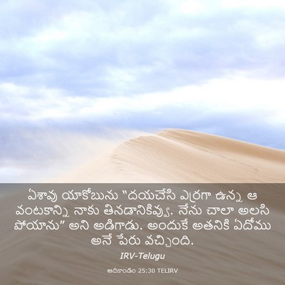 Picture 03 - ఆదికాండం 25:30 TELIRV - ఏశావు యాకోబును - Bible Verse Picture