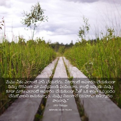 Picture 03 - ఆదికాండం 26:29 TELIRV - మేము నీకు ఎలాంటి - Bible Verse Picture