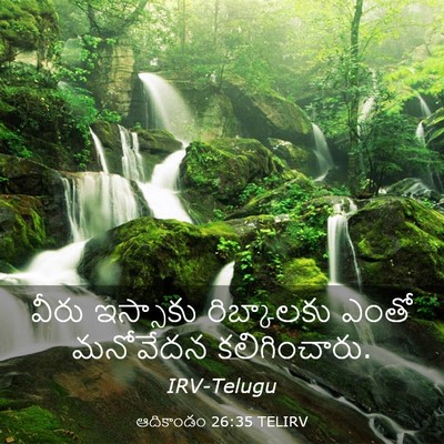 Picture 03 - ఆదికాండం 26:35 TELIRV - వీరు ఇస్సాకు - Bible Verse Picture
