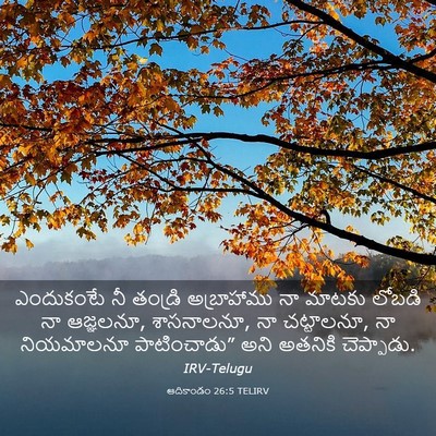 Picture 03 - ఆదికాండం 26:5 TELIRV - ఎందుకంటే నీ - Bible Verse Picture