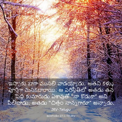 Picture 03 - ఆదికాండం 27:1 TELIRV - ఇస్సాకు బాగా - Bible Verse Picture