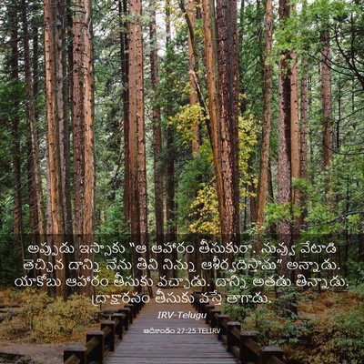 Picture 03 - ఆదికాండం 27:25 TELIRV - అప్పుడు ఇస్సాకు - Bible Verse Picture